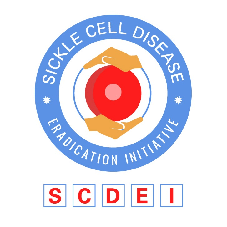 SCDEI Logo